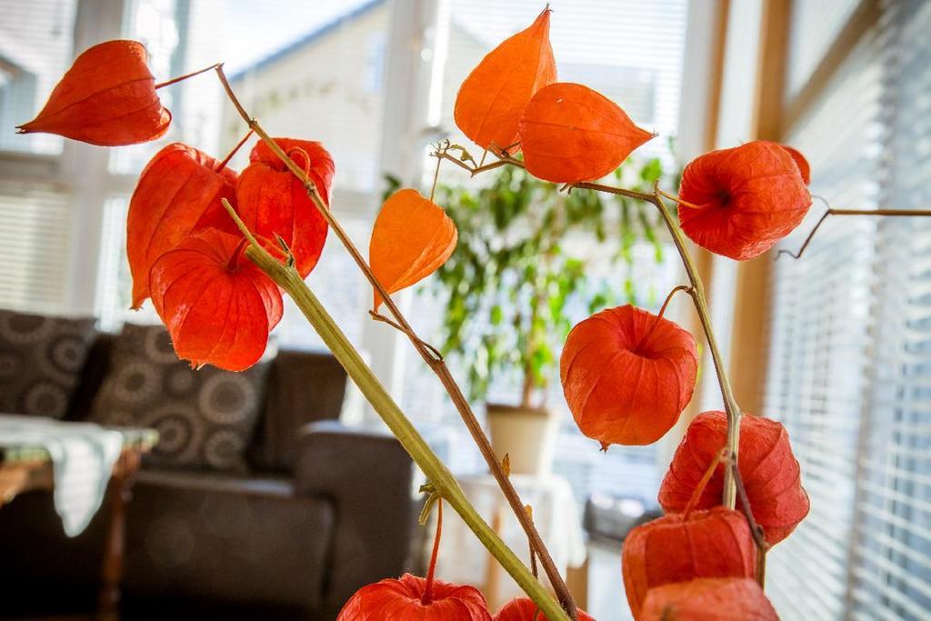 Ferienwohnung "Gaby" Freyung Buitenkant foto